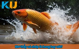 mơ thấy cá chép