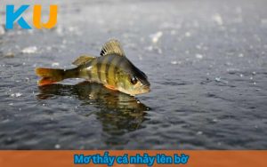 mơ thấy cá nhảy lên bờ